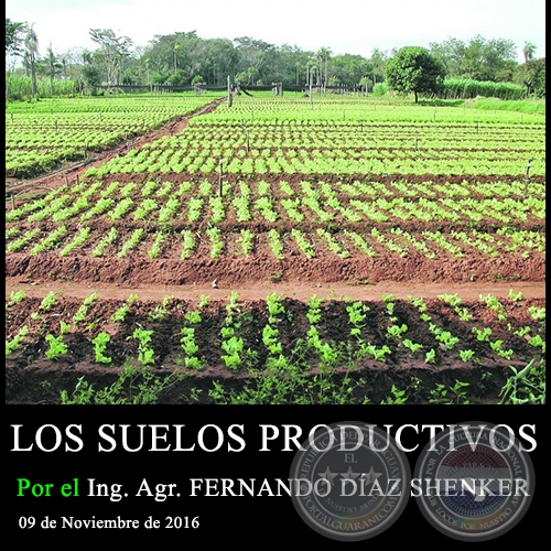  LOS SUELOS PRODUCTIVOS - Ing. Agr. FERNANDO DAZ SHENKER - 09 de Noviembre de 2016
